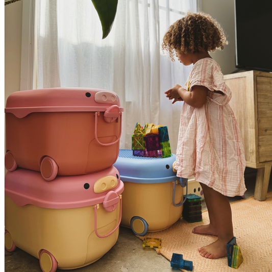 Ride-a-long Storage (Large) - Sunny Days Pig