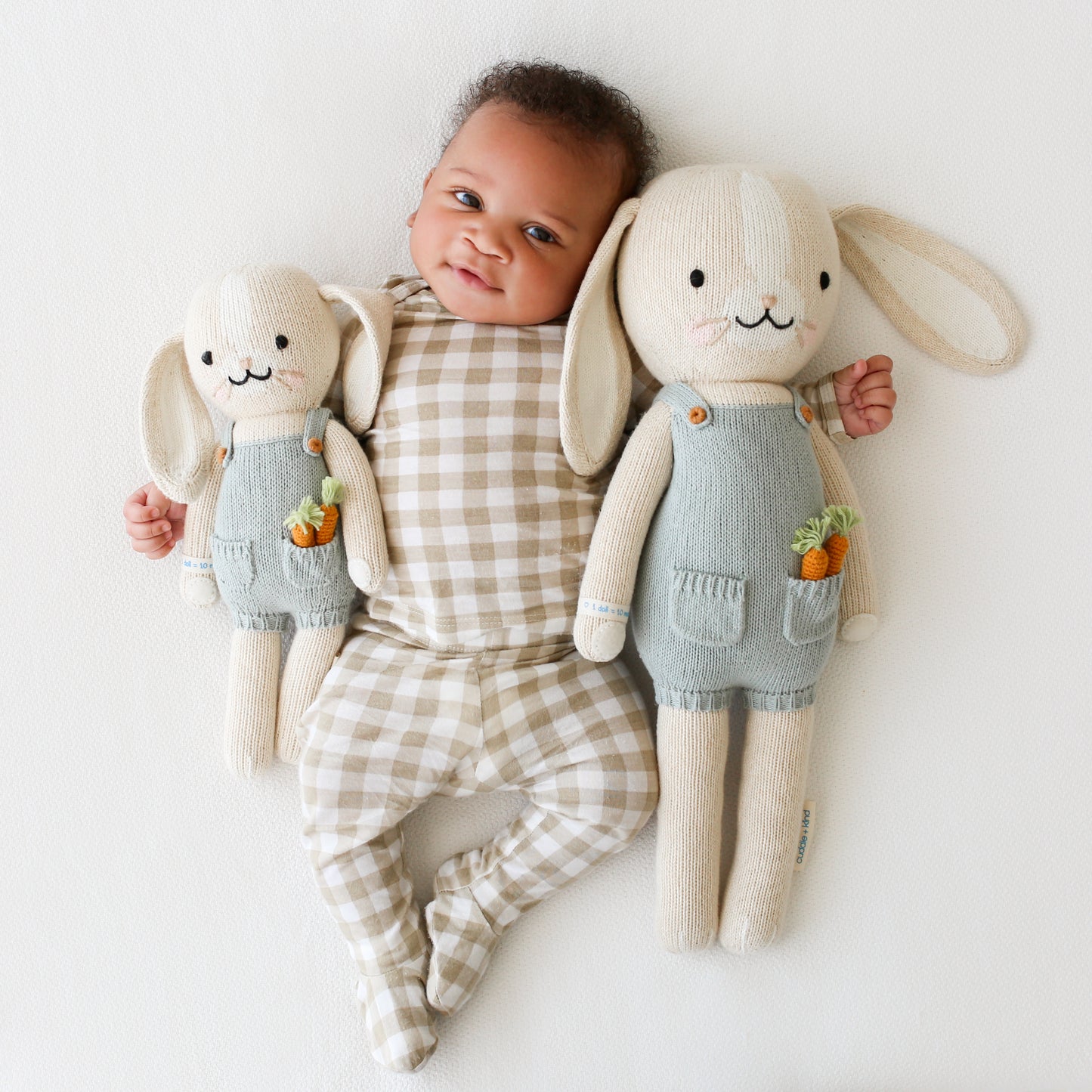 Henry the Bunny – Regular