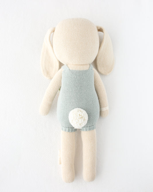 Henry the Bunny – Regular