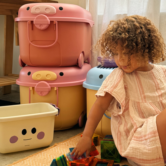 Ride-a-long Storage (Large) - Rhubarb and Custard Pig