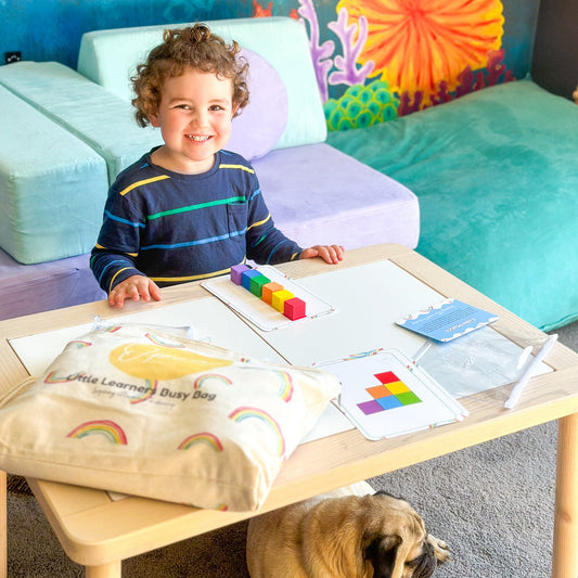 Toddler Busy Bag - Cube Match