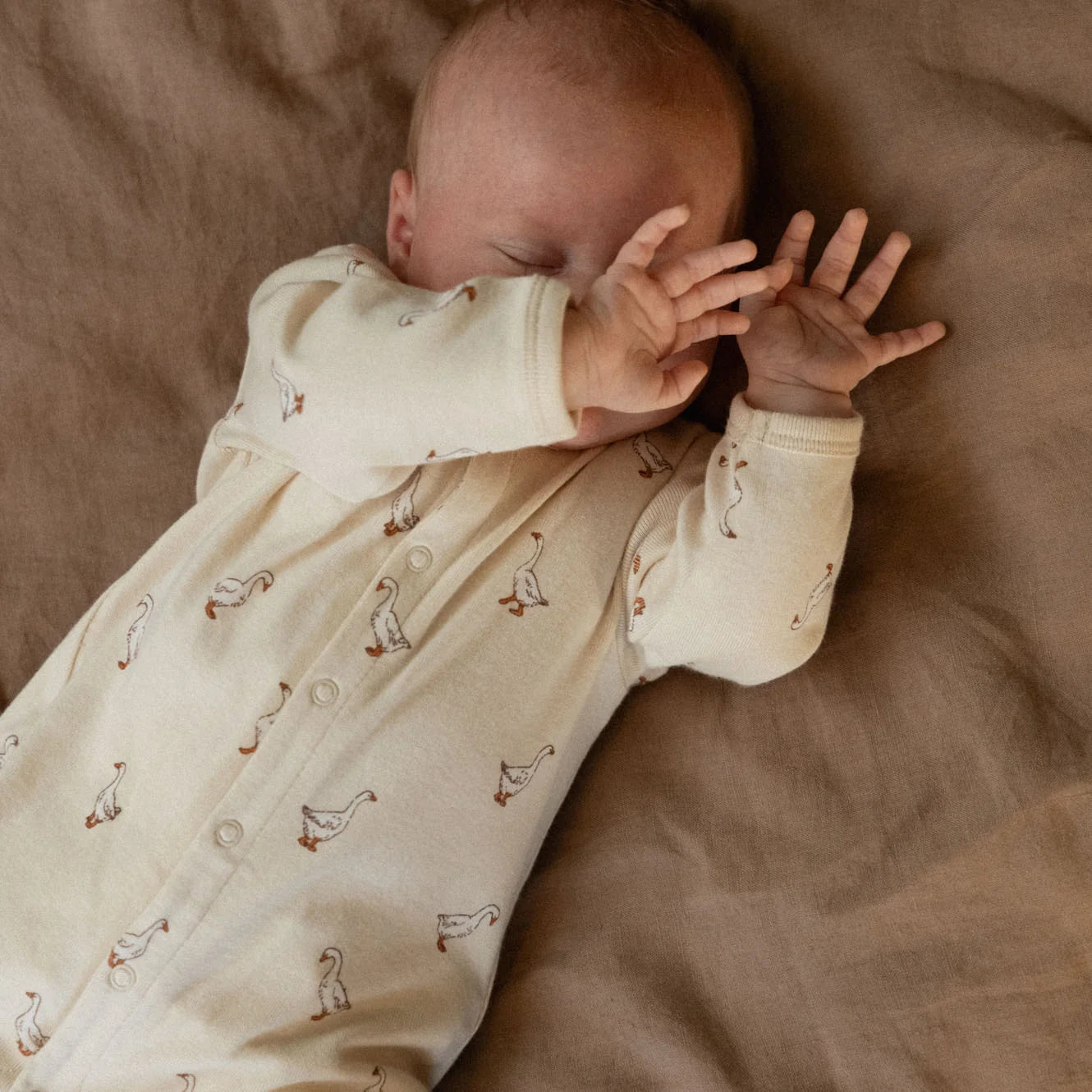 Cotton Stretch and Grow - Goosey Print