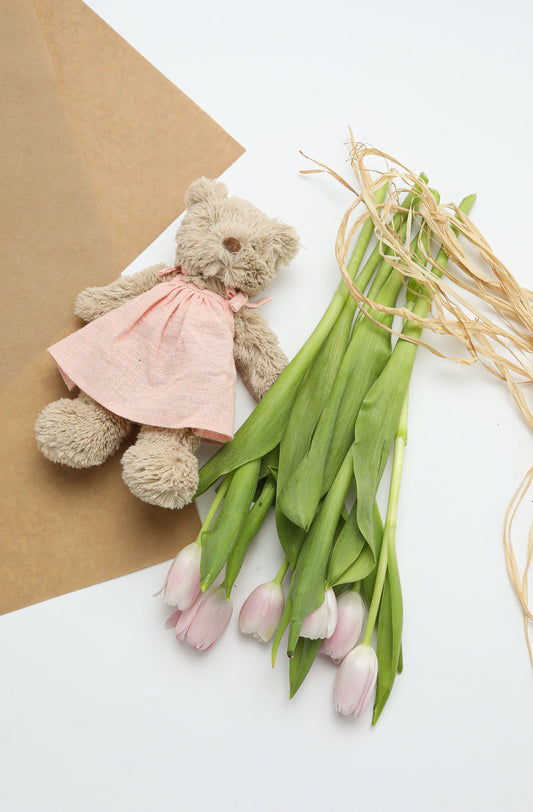 Baby Honey Bear with Pink Dress
