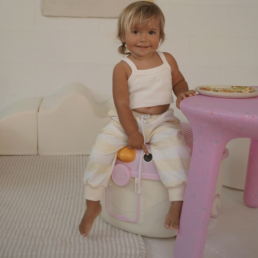 Ride-a-long Storage (Large) - Grape Tweet Tweet