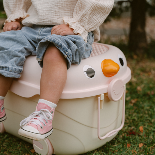 Ride-a-long Storage (Large) - Cotton Candy Tweet Tweet