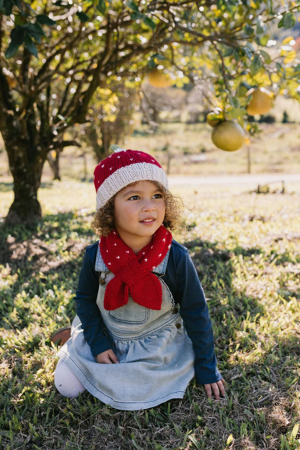 Strawberry Beanie - Red