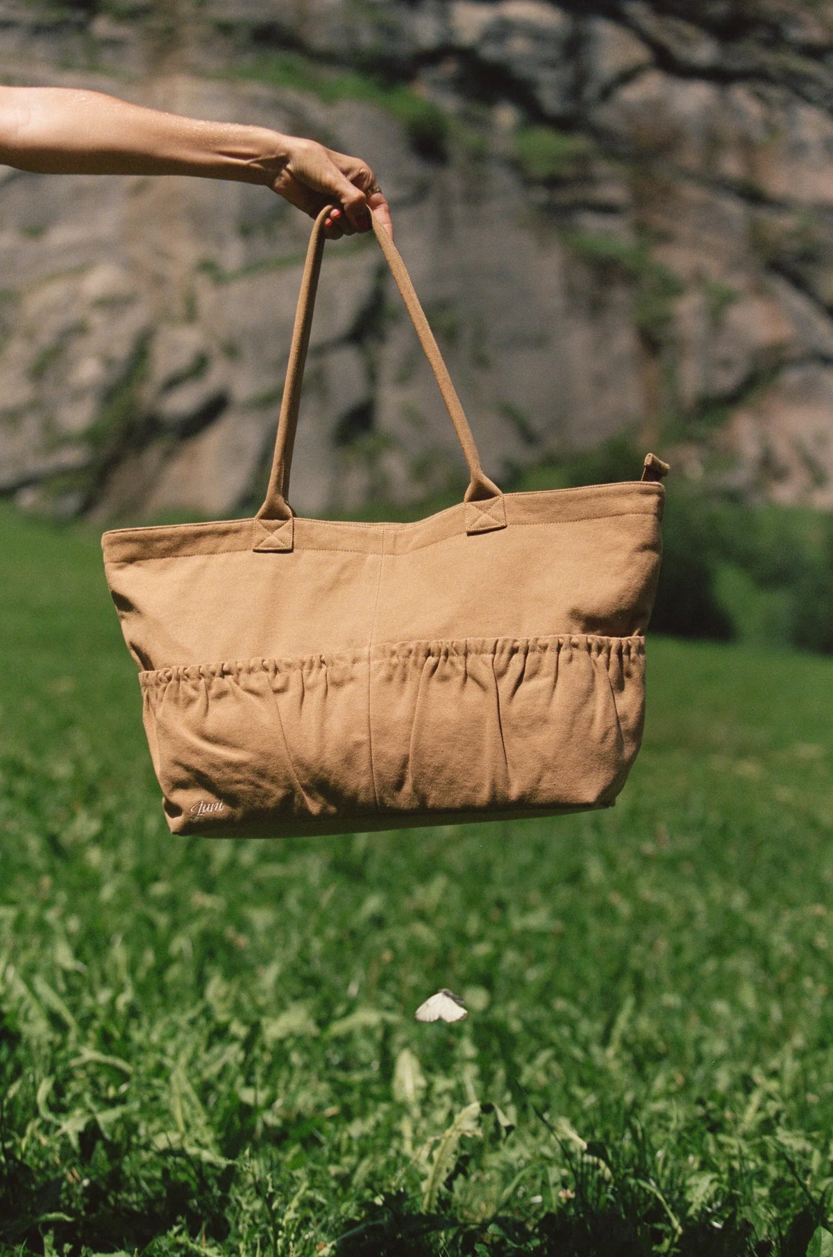 The Daily Tote