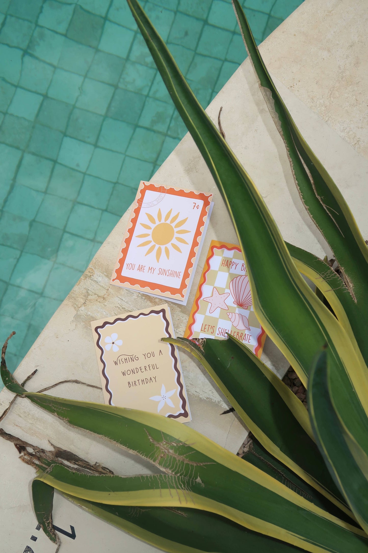 Happy Birthday Let’s Shellebrate: card cute shell aesthetic