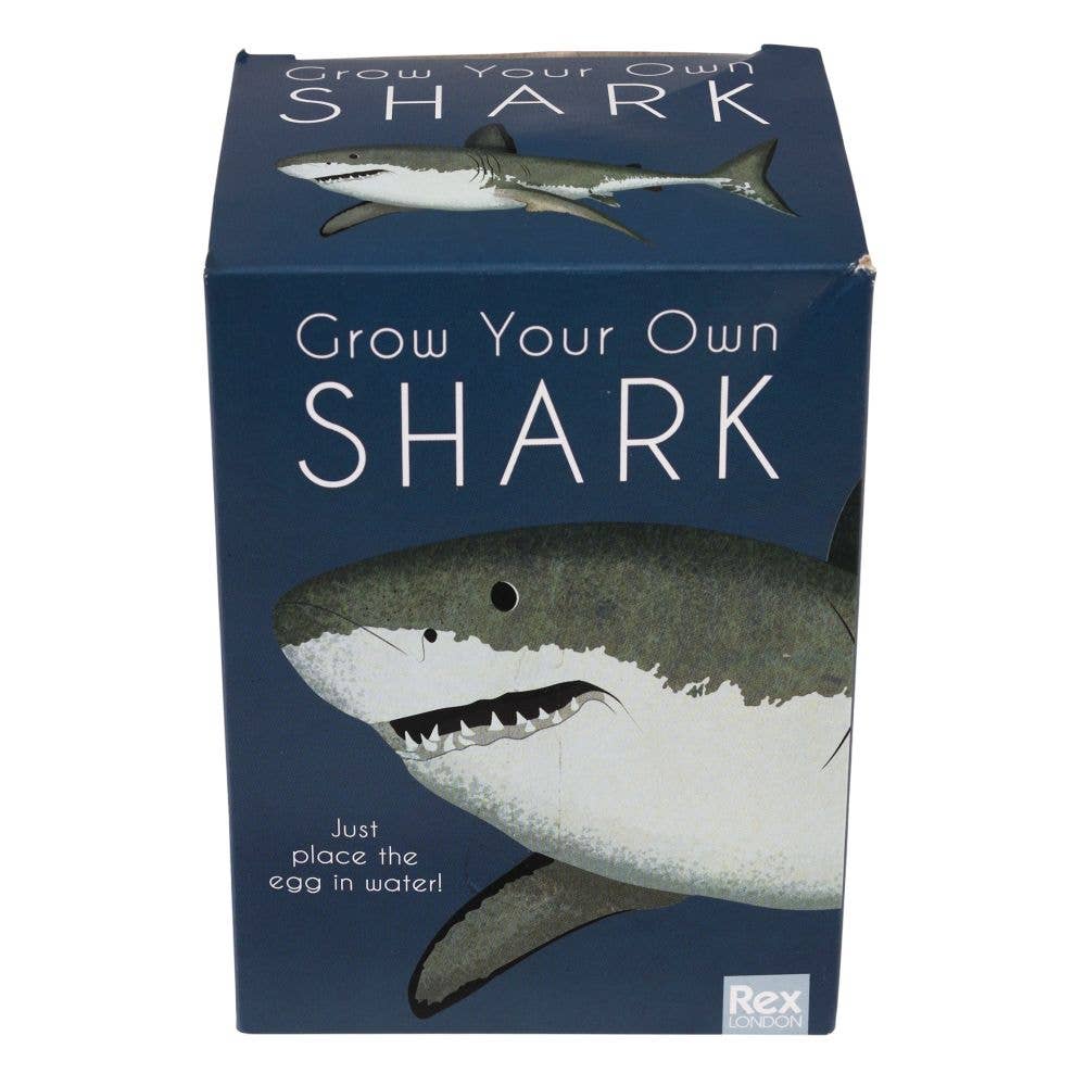 Rex London Giant Hatching Shark Egg