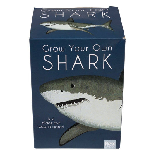 Rex London Giant Hatching Shark Egg