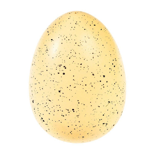 Rex London Giant Hatching Shark Egg