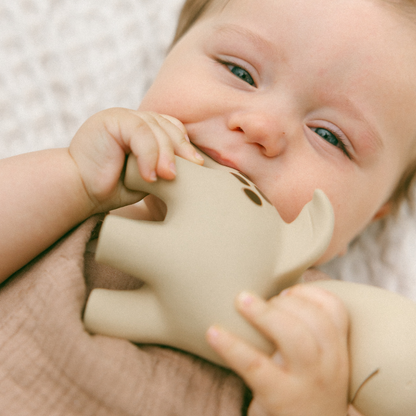 Diplo the Dino-Dragon Natural Rubber Teether: Sage