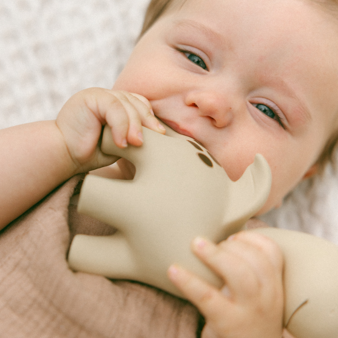Diplo the Dino-Dragon Natural Rubber Teether: Blue