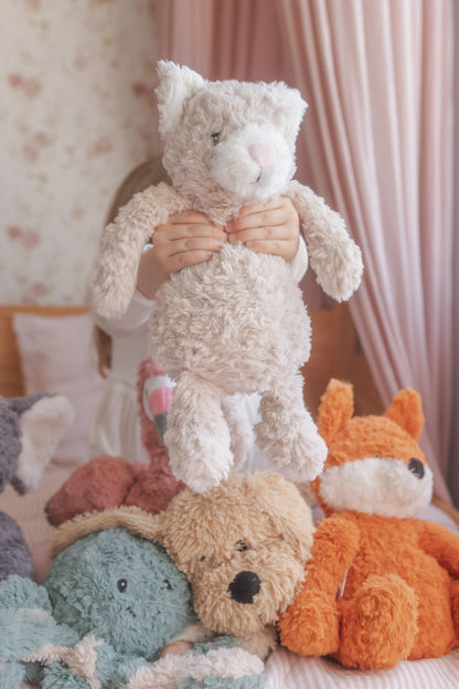 Pickles The Weighted Cat