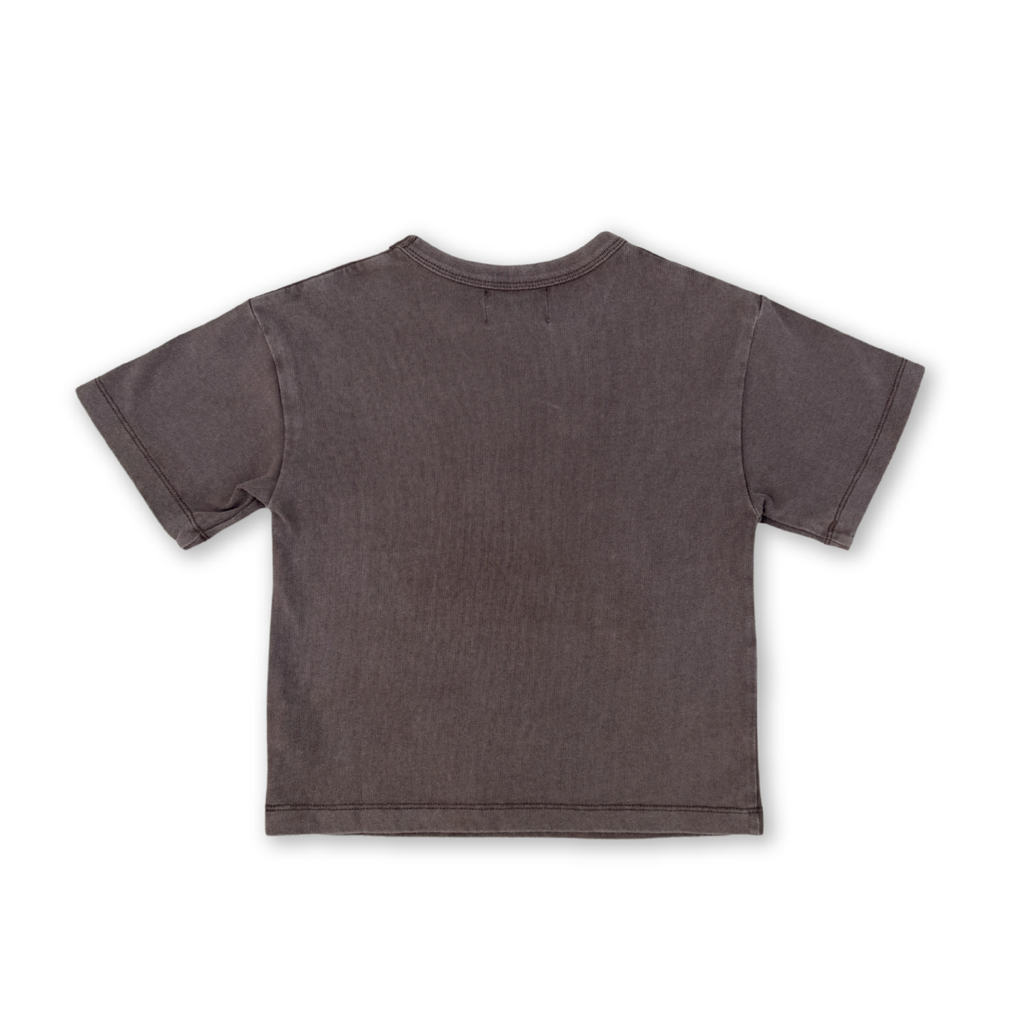 Parrot Fish Tee - Dune