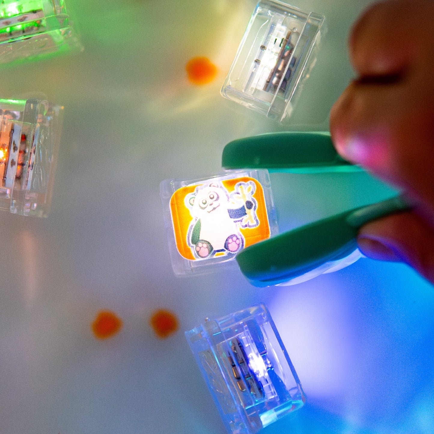 Limited Edition Light-Up Cubes 6-Pack Zoo Animals