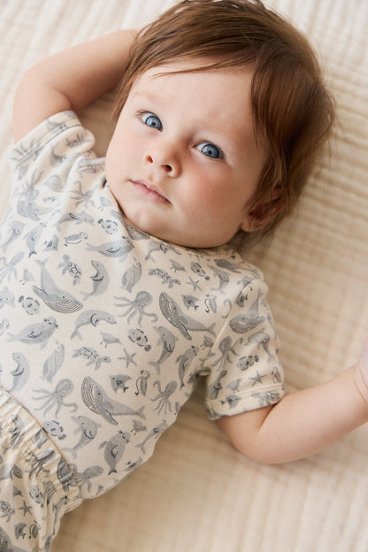 Organic Cotton Hudson Short Sleeve - Sea Life