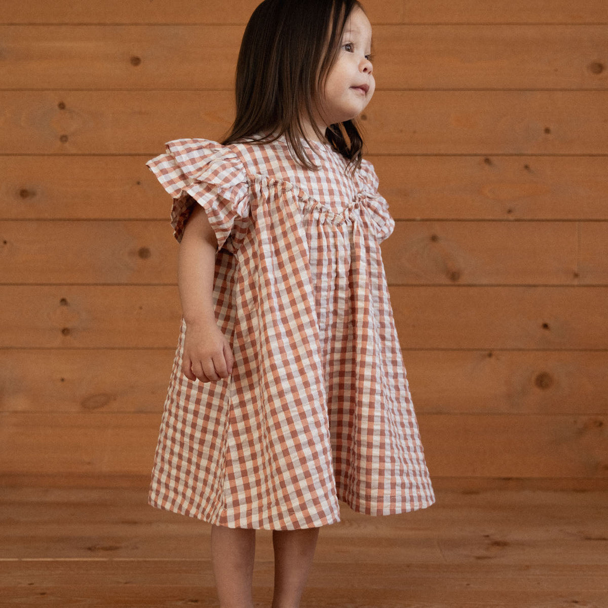 Una Dress- Dandelion Gingham
