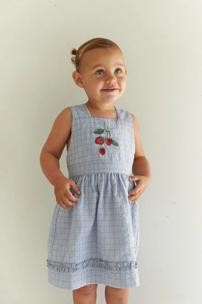 Coco Dress - Sky Gingham