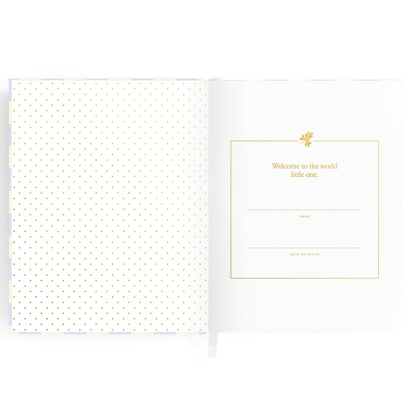 Baby Book Blue Check Boxed