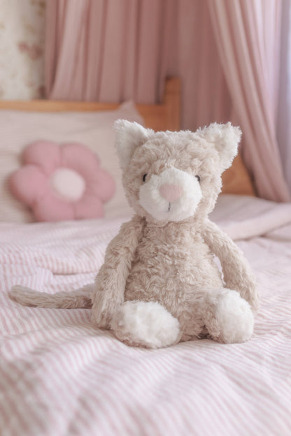 Pickles The Weighted Cat