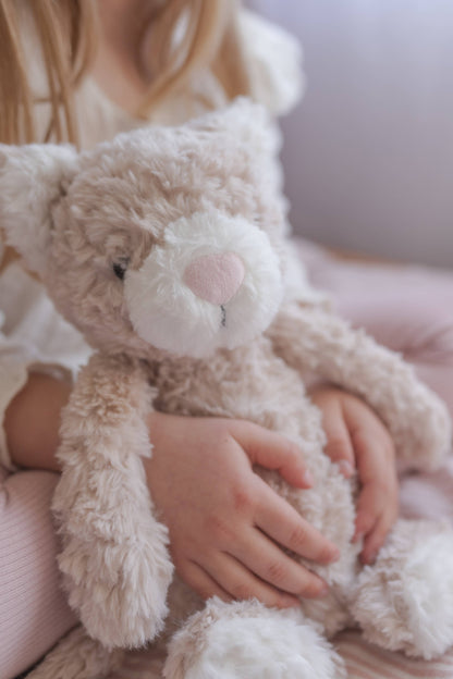 Pickles The Weighted Cat