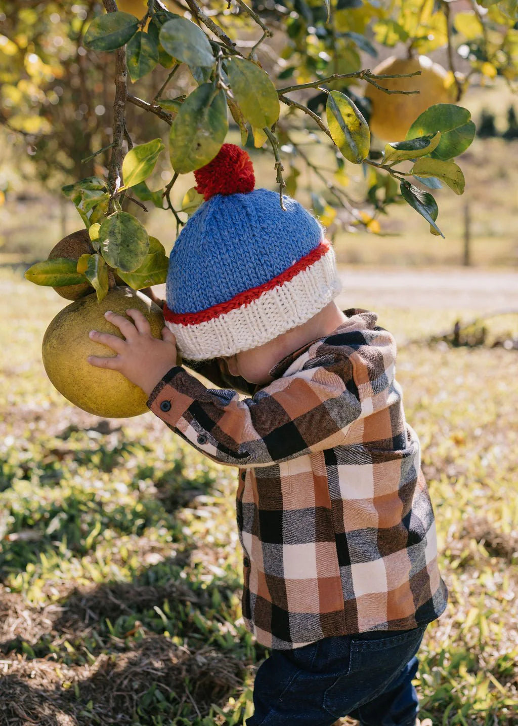 Teddy Beanie - Blue and Red